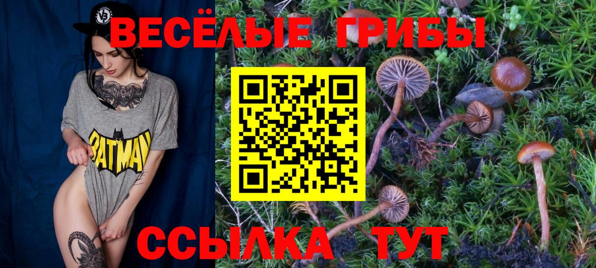 Псилоцибиновые грибы Psilocybe Воскресенск