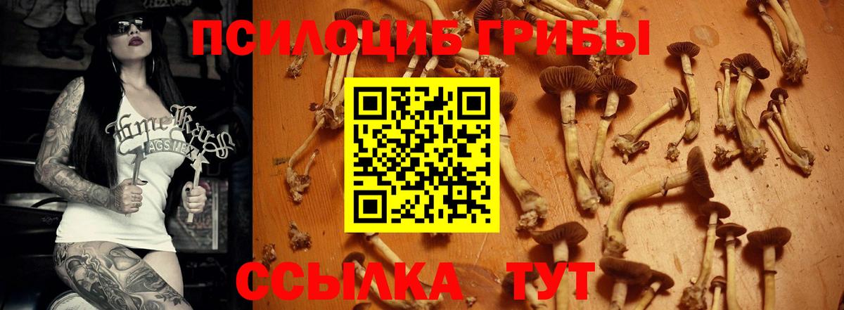 Воскресенск  Псилоцибиновые грибы MAGIC MUSHROOMS  Вход с VPN 